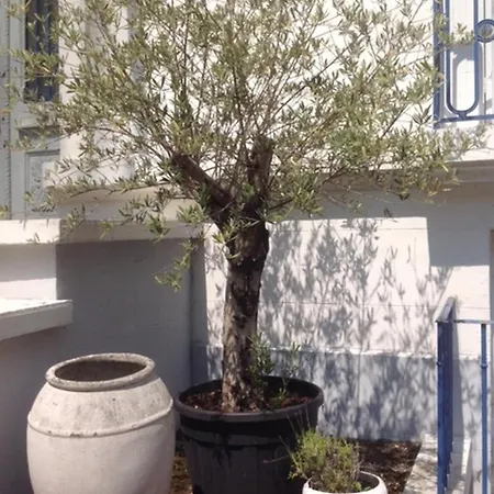 La Cressonniere